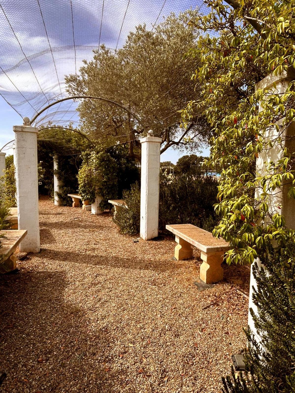 Agriturismo La Civetta Gioia Del Colle Kültér fotó